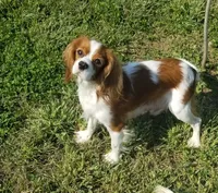 processed/15a2ccfe-39b3-4309-8ec3-ec43ffc4f4de/facility/7f4072b5-18df-4bb6-af2c-5c6acd179158