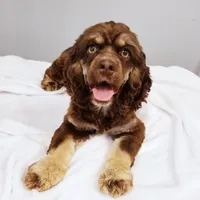 processed/15a2ccfe-39b3-4309-8ec3-ec43ffc4f4de/facility/9043f355-68a8-4426-bbc2-c57223ee1202