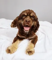 processed/15a2ccfe-39b3-4309-8ec3-ec43ffc4f4de/facility/9043f355-68a8-4426-bbc2-c57223ee1202