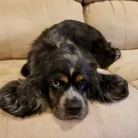 processed/15a2ccfe-39b3-4309-8ec3-ec43ffc4f4de/facility/ad726831-e12c-447e-b446-f57fe67f0079