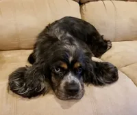 processed/15a2ccfe-39b3-4309-8ec3-ec43ffc4f4de/facility/ad726831-e12c-447e-b446-f57fe67f0079