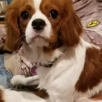 processed/15a2ccfe-39b3-4309-8ec3-ec43ffc4f4de/facility/eb62c860-36c7-410e-beae-6b27133f736a