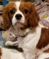 processed/15a2ccfe-39b3-4309-8ec3-ec43ffc4f4de/facility/eb62c860-36c7-410e-beae-6b27133f736a