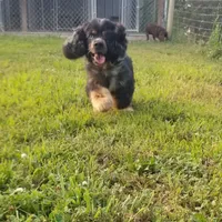 processed/15a2ccfe-39b3-4309-8ec3-ec43ffc4f4de/facility/ef8c78e8-d406-45d9-b8cb-3718e04bbdbc