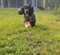 processed/15a2ccfe-39b3-4309-8ec3-ec43ffc4f4de/facility/ef8c78e8-d406-45d9-b8cb-3718e04bbdbc