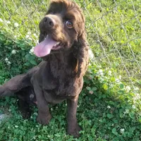 processed/15a2ccfe-39b3-4309-8ec3-ec43ffc4f4de/facility/fb0ee4b8-14cf-4d52-994d-36331513aa2d