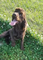 processed/15a2ccfe-39b3-4309-8ec3-ec43ffc4f4de/facility/fb0ee4b8-14cf-4d52-994d-36331513aa2d