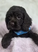 processed/15a2ccfe-39b3-4309-8ec3-ec43ffc4f4de/listing/4b9e664e-34f3-4063-9a4e-e863bf39d991/04650b09-b410-44ae-88b9-a768cef8bb1f