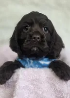 processed/15a2ccfe-39b3-4309-8ec3-ec43ffc4f4de/listing/4b9e664e-34f3-4063-9a4e-e863bf39d991/1b04ba26-70a9-4fcf-a003-be3203006c5b