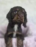 processed/15a2ccfe-39b3-4309-8ec3-ec43ffc4f4de/listing/85187d6f-2927-430f-a091-537c219fb1d1/8369ec77-5d45-4b72-8473-a1735e126848