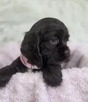 processed/15a2ccfe-39b3-4309-8ec3-ec43ffc4f4de/listing/d3162a0e-894d-4435-9cc8-81d09728c05d/5bf279ab-d40e-4dae-8458-33c2803a1c6a