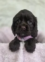 processed/15a2ccfe-39b3-4309-8ec3-ec43ffc4f4de/listing/d3162a0e-894d-4435-9cc8-81d09728c05d/e769c9f4-3e6a-43b2-b12b-1274044486c6