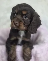 processed/15a2ccfe-39b3-4309-8ec3-ec43ffc4f4de/listing/da83063a-1f14-464a-87cb-2f2e41889088/77466456-b116-49c6-a7cd-13b277500a54