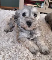 processed/15a4779b-b5cd-47cb-913d-54aa7305c1df/listing/a90c1527-4fff-4893-9697-e02346b334b5/56017e5b-5667-44d5-b58f-f63379372c77