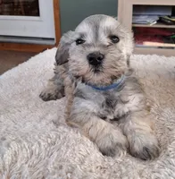 processed/15a4779b-b5cd-47cb-913d-54aa7305c1df/listing/a90c1527-4fff-4893-9697-e02346b334b5/72af3c28-42c1-4a13-8f3f-8c98c6213aef