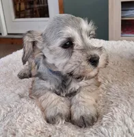 processed/15a4779b-b5cd-47cb-913d-54aa7305c1df/listing/a90c1527-4fff-4893-9697-e02346b334b5/b2fb37e5-efb6-48f1-ba14-7cd5ae4639bd