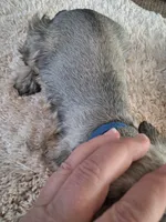 processed/15a4779b-b5cd-47cb-913d-54aa7305c1df/listing/a90c1527-4fff-4893-9697-e02346b334b5/c684bcf2-c63e-44c0-9054-2fa1c442ed21