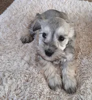 processed/15a4779b-b5cd-47cb-913d-54aa7305c1df/listing/a90c1527-4fff-4893-9697-e02346b334b5/f70bb593-7df5-4897-954d-5637642ccf4d