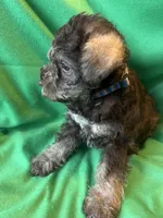 processed/15d56c35-8118-4539-9e15-48f51e191ebe/listing/02f9001a-fa02-492c-ab53-7170139732f8/3b09c767-6024-48ab-855c-0f8e5e25799f