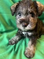 processed/15d56c35-8118-4539-9e15-48f51e191ebe/listing/02f9001a-fa02-492c-ab53-7170139732f8/e1d76ac0-e94a-44c0-b1cc-ba060d1e7070