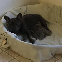 processed/15d72f6f-ed28-400d-817c-35358ceb447f/facility/285cabee-2877-485e-bd10-41a8548c6f54