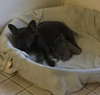 processed/15d72f6f-ed28-400d-817c-35358ceb447f/facility/285cabee-2877-485e-bd10-41a8548c6f54