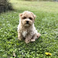 processed/15d72f6f-ed28-400d-817c-35358ceb447f/facility/2ac7b0aa-7ff4-4842-bfa3-0fb653178bf8