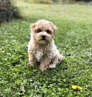 processed/15d72f6f-ed28-400d-817c-35358ceb447f/facility/2ac7b0aa-7ff4-4842-bfa3-0fb653178bf8