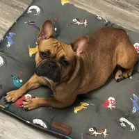 processed/15d72f6f-ed28-400d-817c-35358ceb447f/facility/3f2a5799-0e60-4f89-831b-286150d9b4c9