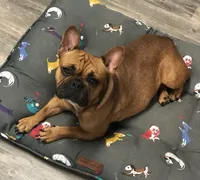 processed/15d72f6f-ed28-400d-817c-35358ceb447f/facility/3f2a5799-0e60-4f89-831b-286150d9b4c9