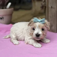 processed/15d72f6f-ed28-400d-817c-35358ceb447f/facility/50a2d7c4-285f-47de-8b53-374380a3d163