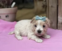 processed/15d72f6f-ed28-400d-817c-35358ceb447f/facility/50a2d7c4-285f-47de-8b53-374380a3d163