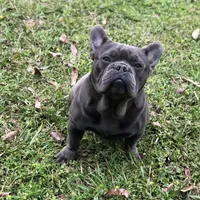 processed/15d72f6f-ed28-400d-817c-35358ceb447f/facility/59cb84ce-717e-44b4-b9b9-88e38c5b860d