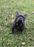 processed/15d72f6f-ed28-400d-817c-35358ceb447f/facility/59cb84ce-717e-44b4-b9b9-88e38c5b860d