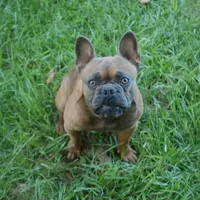 processed/15d72f6f-ed28-400d-817c-35358ceb447f/facility/5cb9417f-4623-4509-98fb-9f004b41e75e