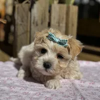 processed/15d72f6f-ed28-400d-817c-35358ceb447f/facility/5fec64f3-4a32-4808-bd85-fea89f8f4af1