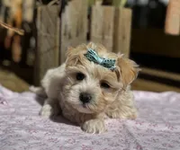 processed/15d72f6f-ed28-400d-817c-35358ceb447f/facility/5fec64f3-4a32-4808-bd85-fea89f8f4af1