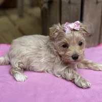 processed/15d72f6f-ed28-400d-817c-35358ceb447f/facility/70fa60bb-df48-474e-a6e3-025edb38d246