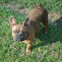 processed/15d72f6f-ed28-400d-817c-35358ceb447f/facility/c5b83fe5-f692-40c1-9884-2458a16231c6