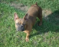 processed/15d72f6f-ed28-400d-817c-35358ceb447f/facility/c5b83fe5-f692-40c1-9884-2458a16231c6