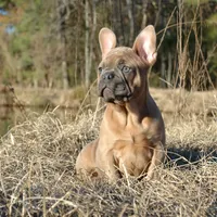 processed/15d72f6f-ed28-400d-817c-35358ceb447f/facility/e230ea93-85fd-48c0-ad13-721f036e31b4