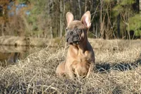 processed/15d72f6f-ed28-400d-817c-35358ceb447f/facility/e230ea93-85fd-48c0-ad13-721f036e31b4