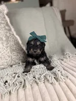 processed/15e0cef4-0a7d-43dc-8dac-48d419f9090c/listing/7caca761-f578-4b00-8f17-8444b7c2a082/0e78da3b-5fb5-49e6-ae30-b1a7dea04466