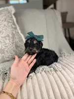 processed/15e0cef4-0a7d-43dc-8dac-48d419f9090c/listing/7caca761-f578-4b00-8f17-8444b7c2a082/7b95453f-d77e-4f24-a017-d1aa7cebd6b0