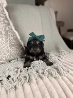 processed/15e0cef4-0a7d-43dc-8dac-48d419f9090c/listing/7caca761-f578-4b00-8f17-8444b7c2a082/8fe39e86-1076-4971-89df-12f74e98e061