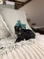 processed/15e0cef4-0a7d-43dc-8dac-48d419f9090c/listing/7caca761-f578-4b00-8f17-8444b7c2a082/a59b37ee-2c18-441c-baf5-19a48f9988c8