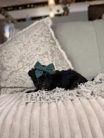 processed/15e0cef4-0a7d-43dc-8dac-48d419f9090c/listing/f2cfa7f2-7e8a-448c-a4e8-305a9b73a7fc/41096a9b-6080-4996-b10f-d24415101753