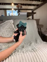 processed/15e0cef4-0a7d-43dc-8dac-48d419f9090c/listing/f2cfa7f2-7e8a-448c-a4e8-305a9b73a7fc/5cf5b4a5-3b87-4950-932c-b7c11c1eff6d