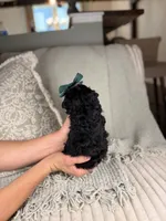 processed/15e0cef4-0a7d-43dc-8dac-48d419f9090c/listing/f2cfa7f2-7e8a-448c-a4e8-305a9b73a7fc/b1e9bebb-dfd8-4fbd-a7fb-6f3cd69ddf2e