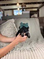 processed/15e0cef4-0a7d-43dc-8dac-48d419f9090c/listing/f2cfa7f2-7e8a-448c-a4e8-305a9b73a7fc/b9abf734-f433-43de-a109-a9920e9615b7